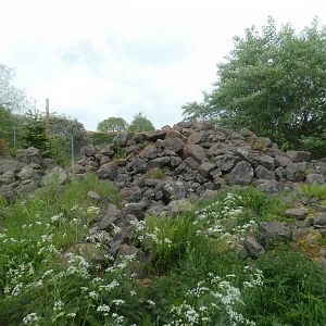 Snow leopard enclosure