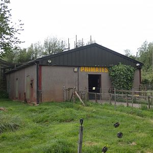 Primate house