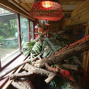 Boa constrictor enclosure
