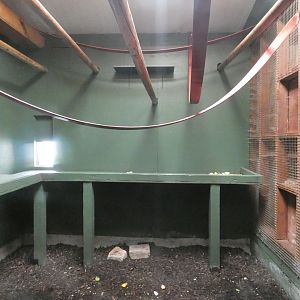 Siamang indoor enclosure
