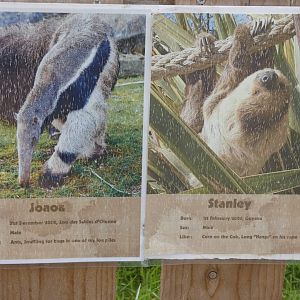 Giant anteater and Sloth ID signage