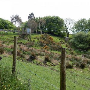 Sitatunga enclosure 150522