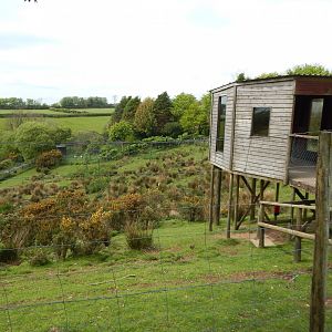Sitatunga enclosure 150522