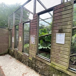 Tayra enclosure 150522