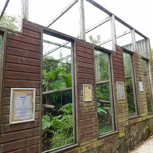 Tayra enclosure 150522