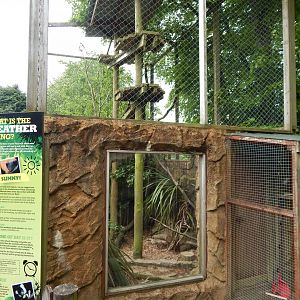 Margay enclosure 150522