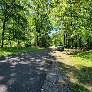 WVSWC - Parking area and picnic tables for elk yard