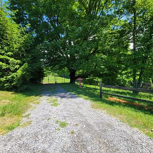 WVSWC - Little pull off that can be used to stop and see bison