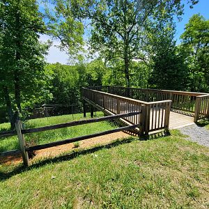 WVSWC - Upper bison viewing, across from elk yard