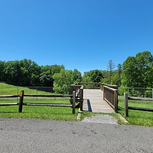 WVSWC - Elk viewing spot