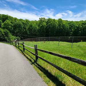 WVSWC - Steep path into woods to see other animals