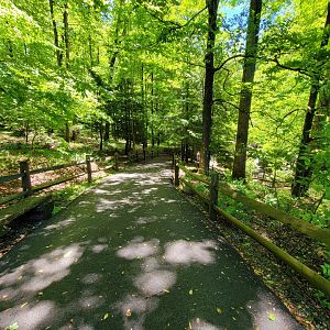 WVSWC - Path into woods