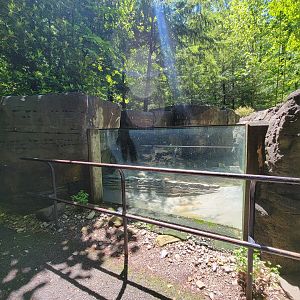 WVSWC - NARO exhibit