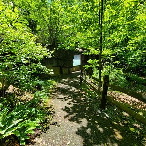 WVSWC - NARO exhibit, next viewing window