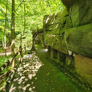 WVSWC - NARO exhibit, looking back