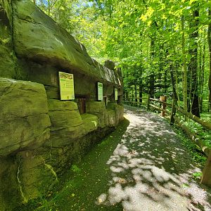 WVSWC - Snakes built into side of NARO exhibit