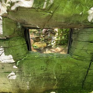 WVSWC - Snakes built into side of NARO exhibit