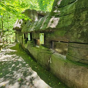 WVSWC - Snakes built into side of NARO exhibit