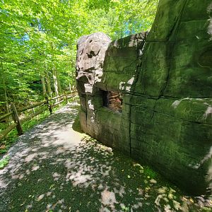 WVSWC - Snakes built into side of NARO exhibit