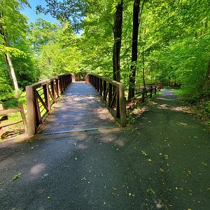 WVSWC - Bridge and path from other side