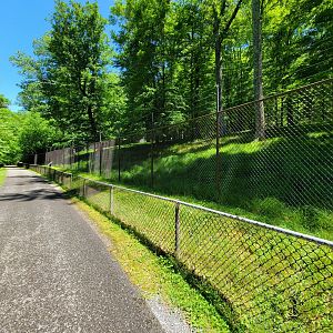 WVSWC - Whitetail Deer