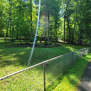 WVSWC - Pollinator garden