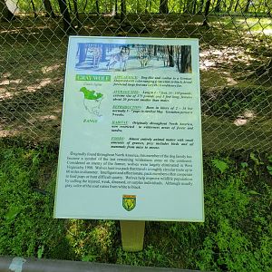 WVSWC - Gray wolf, signage example