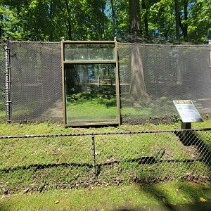 WVSWC - Striped skunk