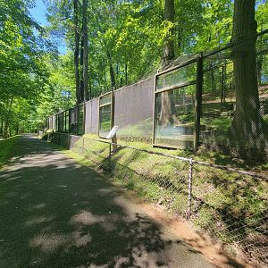 WVSWC - Looking back on row of exhibits
