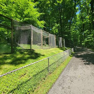 WVSWC - Fisher / pekan