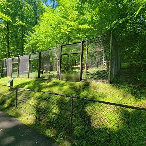 WVSWC - Fisher / pekan