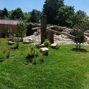 Puma exhibit new 2022