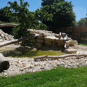 Puma exhibit new 2022