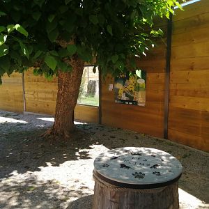 Puma exhibit new 2022