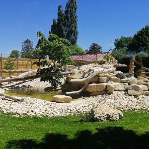 Puma exhibit new 2022