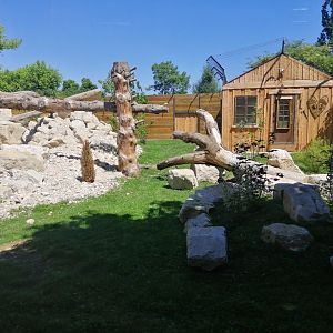 Puma exhibit new 2022