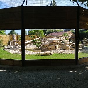 Puma exhibit new 2022