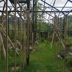 Northern white-cheeked gibbon and tufted deer exhibit