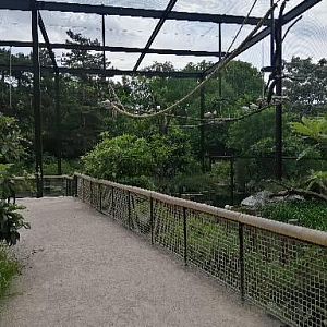 Asian aviary