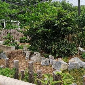 Asian aviary - tapir exhibit