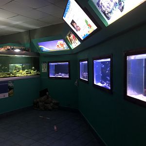 More fish tanks in Aquarium building (Parque Marino del Pacifico)