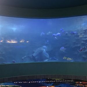 Main tank in Aquarium building (Parque Marino del Pacifico)