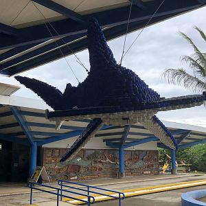 Hammerhead made of bottlecaps (Parque Marino del Pacifico)