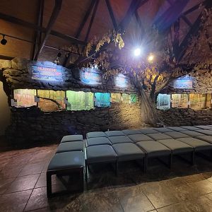 Bays Mountain - Herpetarium