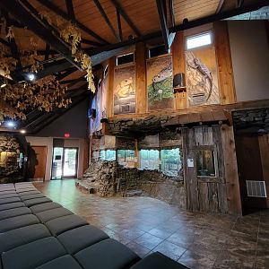 Bays Mountain - Herpetarium