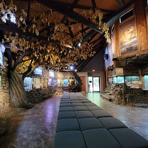 Bays Mountain - Herpetarium