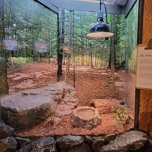 Bays Mountain - Another corn snake exhibit, 4 in total