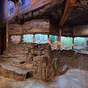 Bays Mountain - Snakes