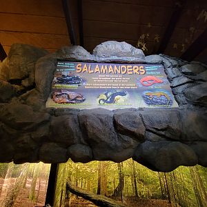 Bays Mountain - Salamanders sign