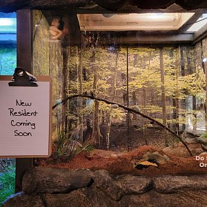 Bays Mountain - Resident coming soon